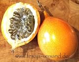 Eigenschaften fesaja-versand  / Passionsblume, Sweet Grenadilla, essbare Früchte / Passiflora ligularis (Saatgut, Samen)