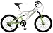 Pacific Chromium Boy's Dual-Suspension Mountian Bike (20-Inch Wheels)