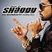 The Boombastic Collection-Best of Shaggy