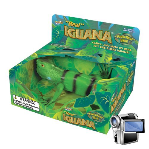 real iguana battery operated lifelike lizard reptile w crawling nodding action cheap price