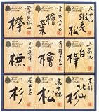 森のいぶき（薬用入浴剤）