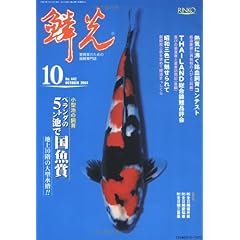 【クリックで詳細表示】鱗光 (2004-10月号)： 本