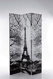 Kare 73434 Paravent I love Paris 180 x 120 x 3 cm SW Holz Leinwand