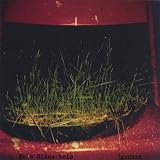 Buy : Ground