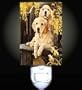 Golden Retriever Puppies Decorative Night Light