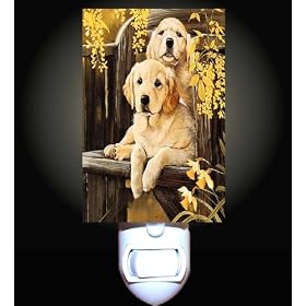Golden Retriever Puppies Decorative Night Light