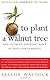 To Plant a Walnut Tree