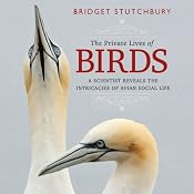 The Private Lives of Birds: A Scientist Reveals the Intricacies of Avian Social Life | [Bridget Stutchbury]