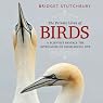 The Private Lives of Birds: A Scientist Reveals the Intricacies of Avian Social Life