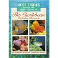 Photographic Guide to Reef Fishes, Corals and Invertebrates of the Caribbean Including Bermuda (Photoguides) by  Lawson Wood and Elizabeth Wood
