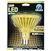 Feit Led Reflector Bulb Par38 10 W Yellow Medium Base (E26)