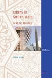 Islam in South Asia : a short history