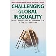 Challenging Global Inequality: Development Theory and Practice in the 21st Century