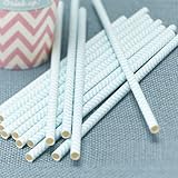 Ginger Ray Chevron Divine Powder Mint Paper Straws, Green