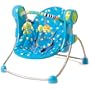 Bright Starts Swing Anywhere