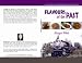 FLAVOURS OF THE PAST (BRIDGET'S ANGLO-INDIAN RECIPE BOOKS)
