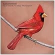 Old Crows/Young Cardinals