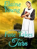 AMISH: CLEAN: Fate Takes a Turn (New Adult Religious Women’s Fiction Romance) (Short Stories) (English Edition)