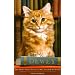 Dewey: A Small Town, a Library and the World's Most Beloved Cat