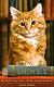 Dewey: A Small Town, a Library and the World's Most Beloved Cat