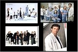 Grey's Anatomy Magnets, Set of Four