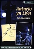 Anturio yn Llŷn