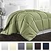 IENJOY HOME Hotel Collection 1500 Series - Lightweight - Luxury Goose Down Alternative Comforter - Hotel Quality Comforter and Hypoallergenic - Full/Queen - Sage