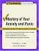 Mastery of Your Anxiety and Panic: Workbook for Primary Care Settings (Treatments That Work)