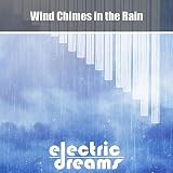 Wind Chimes in the Rain