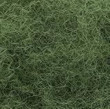 Poly Fiber, Green - B0006N71KI