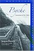 Psyche: Inventions of the Other, Volume II (Meridian: Crossing Aesthetics)