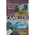 The Scent of the Night (Montalbano 6)