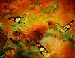 Butterflies & Sunflowers 1000+pc Jigsaw Puzzle by Carol Cavalaris