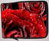 Red Roses Laptop Sleeve - Note Book sleeve - Apple iPad - Apple iPad 2 - Android sleeve - can be used for for Fujitsu, Kindle, Samsung, Dell, Acer, ASUS Eee PC, Gateway, HP, Sony, Compaq, IBM, Mac, Sharp, Toshiba models - Unisex - Ideal gift for all occassions!
