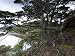 Coastline, Ushuaia, Tierra Del Fuego National Park, Argentina, South America Art Photographic Poster Print by Thorsten Milse, 12x9