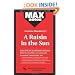 A Raisin in the Sun (MAXNotes Literature Guides)