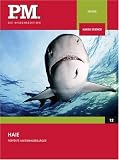 Haie - Perfekte Unterwasserj�ger- P.M. Die Wissensedition - Wissensedition