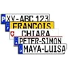 Nummernschild Aufkleber (Deutschland, 13 cm x 2.7 cm) - Mit Wunschtext