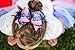 USA 4th of July 5 Inch Loopy Hair Bow By Funny Girl Designs