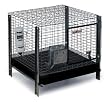 Havahart 9898 Rabbit Starter Kit