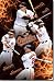 Baltimore Orioles (Wieters, Jones, Markakis, Roberts) Sports Poster Print - 22x34
