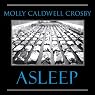 Asleep: The Forgotten Epidemic That Became Medicine’s Greatest Mystery