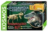 Eigenschaften KOSMOS 630249 / Kosmos 630249 - Dinosaurierskelett: Tyrannosaurus Rex
