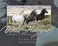 Wild Hoofbeats: America's Vanishing Wild Horses