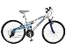 Mongoose Womens Incline Bicycle (Silver)