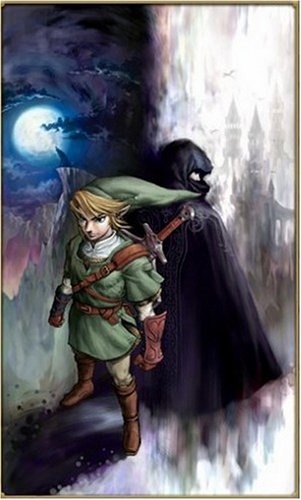 The Legend of Zelda: Twilight Princess image