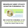 BMV Quantum Subliminal CD Set- 4 SUBLIMINAL CDs - Neuro Linguistic Programming (NLP) Mastery Mind Power Program (4 CDs: NLP Mind Control for Rapport Persuasion & Influence, Improve Language Skills, Non-Verbal Communication Skills, Public Speaking)