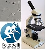 Male Fertility Test Kits