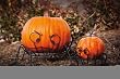 Spider Pumpkin Holders, 2 Assorted: