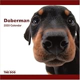 Doberman 2009 Wall 12''x12'' Calendar by THE DOG Artlist Collection